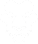LIONPOWER